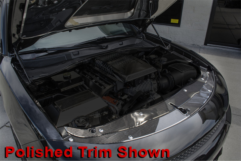 2015 Dodge Charger Carbon Fiber Front Header Plate 2 Pc Kit